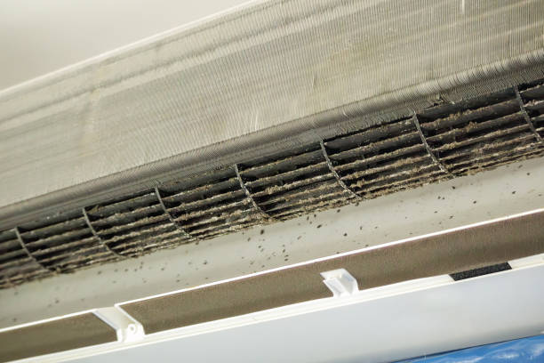 Best Local Air Duct Cleaning Services  in Nikiski, AK